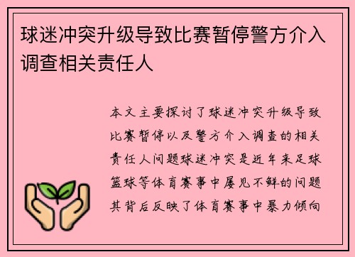 球迷冲突升级导致比赛暂停警方介入调查相关责任人